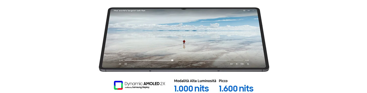 Dynamic AMOLED 2x - HBM 1,000 nits - Peak 1,600 nits